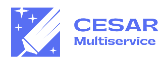 CESAR MULTISERVICE